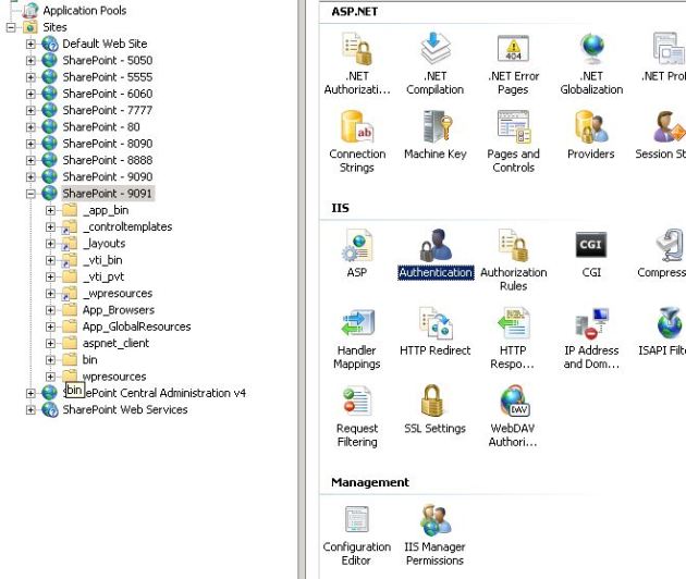 IIS_Select_Authentication